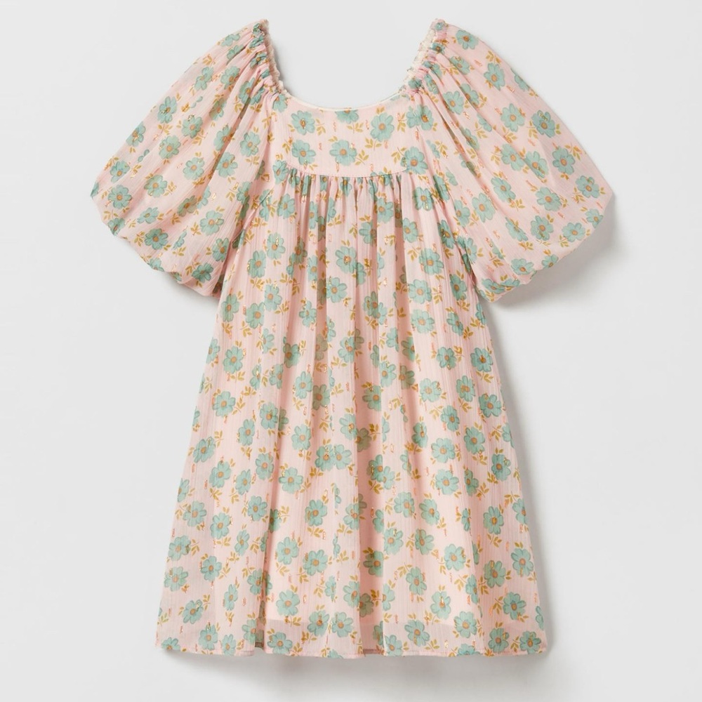 Zara Floral Dress with Blue and Pink Accents